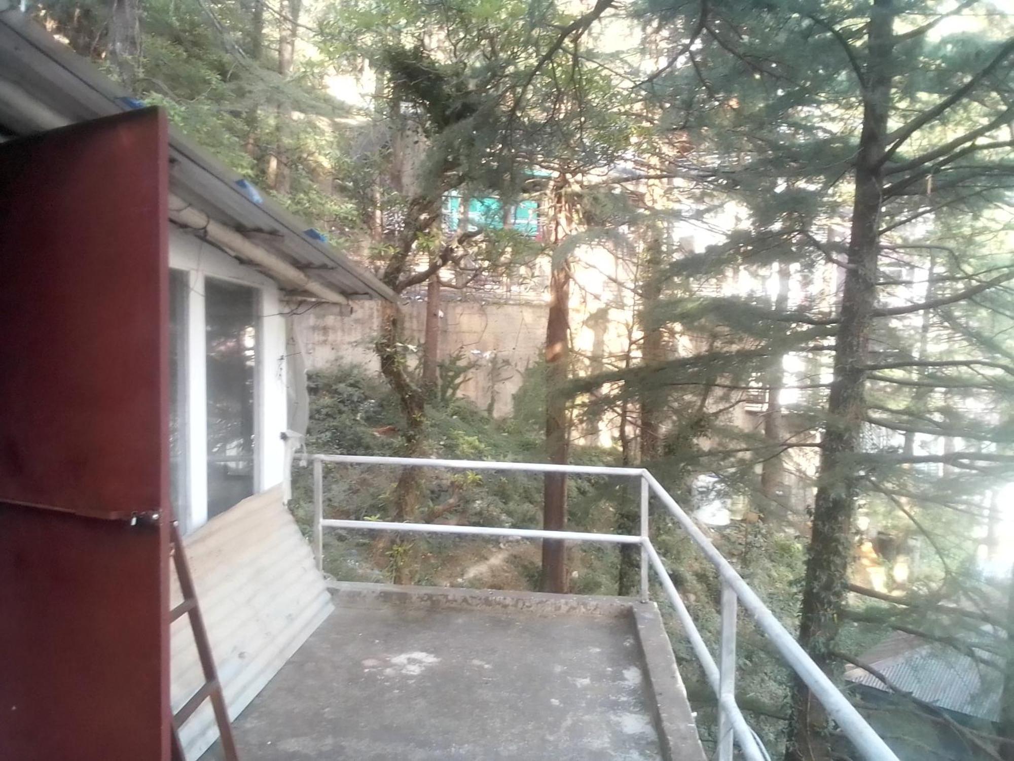 Himalayan Mountain View, Triund Trekking Hostel Дармсала Екстер'єр фото
